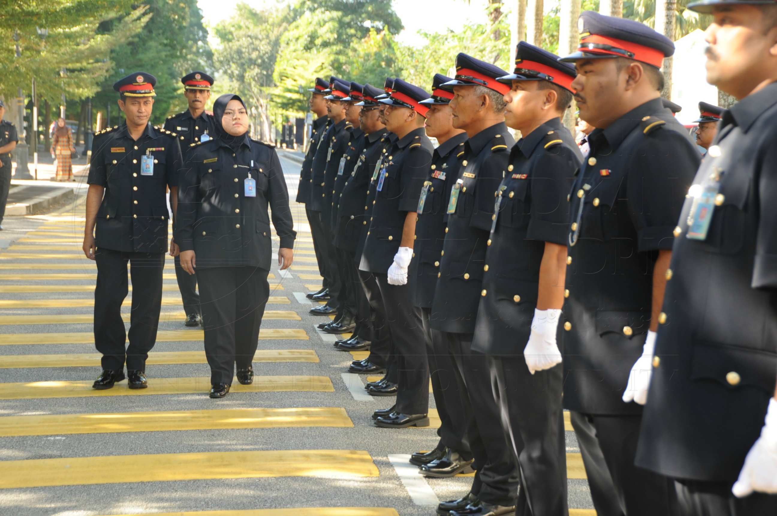 PRO 16 6 AMANAT VCHAS 8392